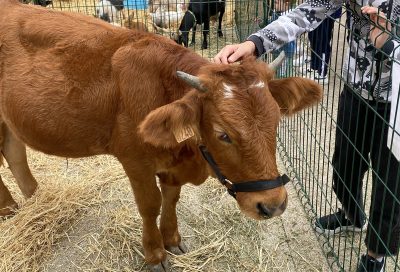 Foire Agricole Gardanne