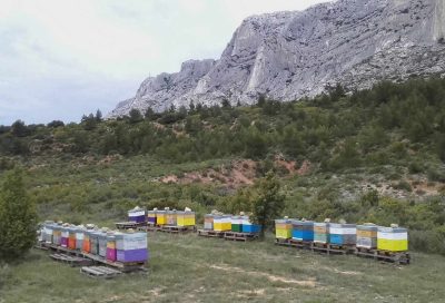 Miellerie Sainte-Victoire