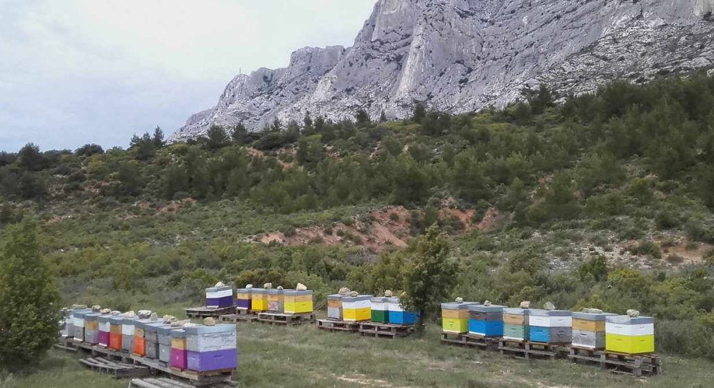 Miellerie Sainte-Victoire