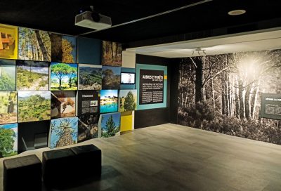 Les journées du patrimoine à l’Écomusée de la forêt_Gardanne