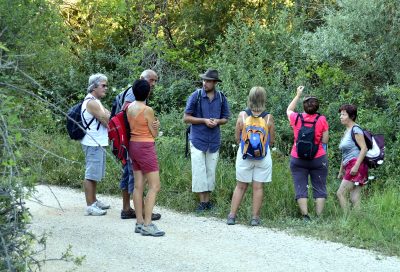 Découverte des plantes de St Victoire