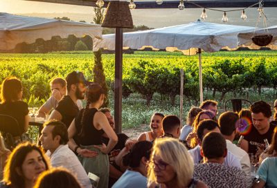 Un verre de vin dans les vignes
